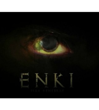Enki Steam Key GLOBAL